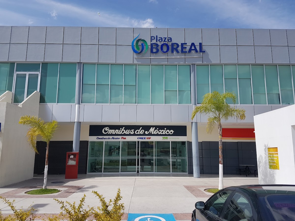 Plaza Boreal Aguascalientes